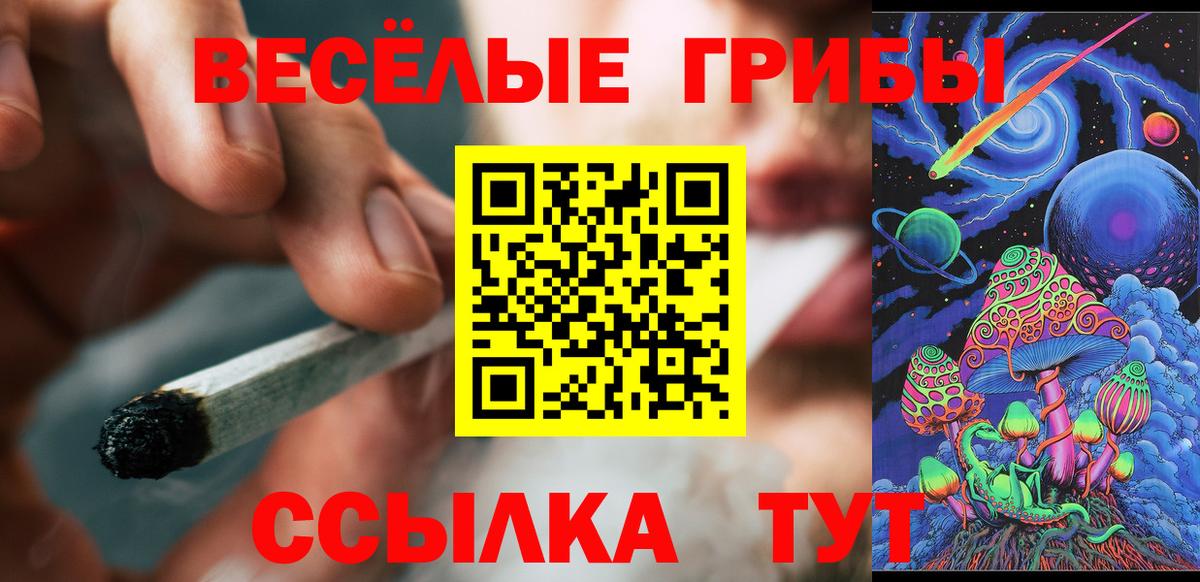 Псилоцибиновые грибы мицелий Кизляр